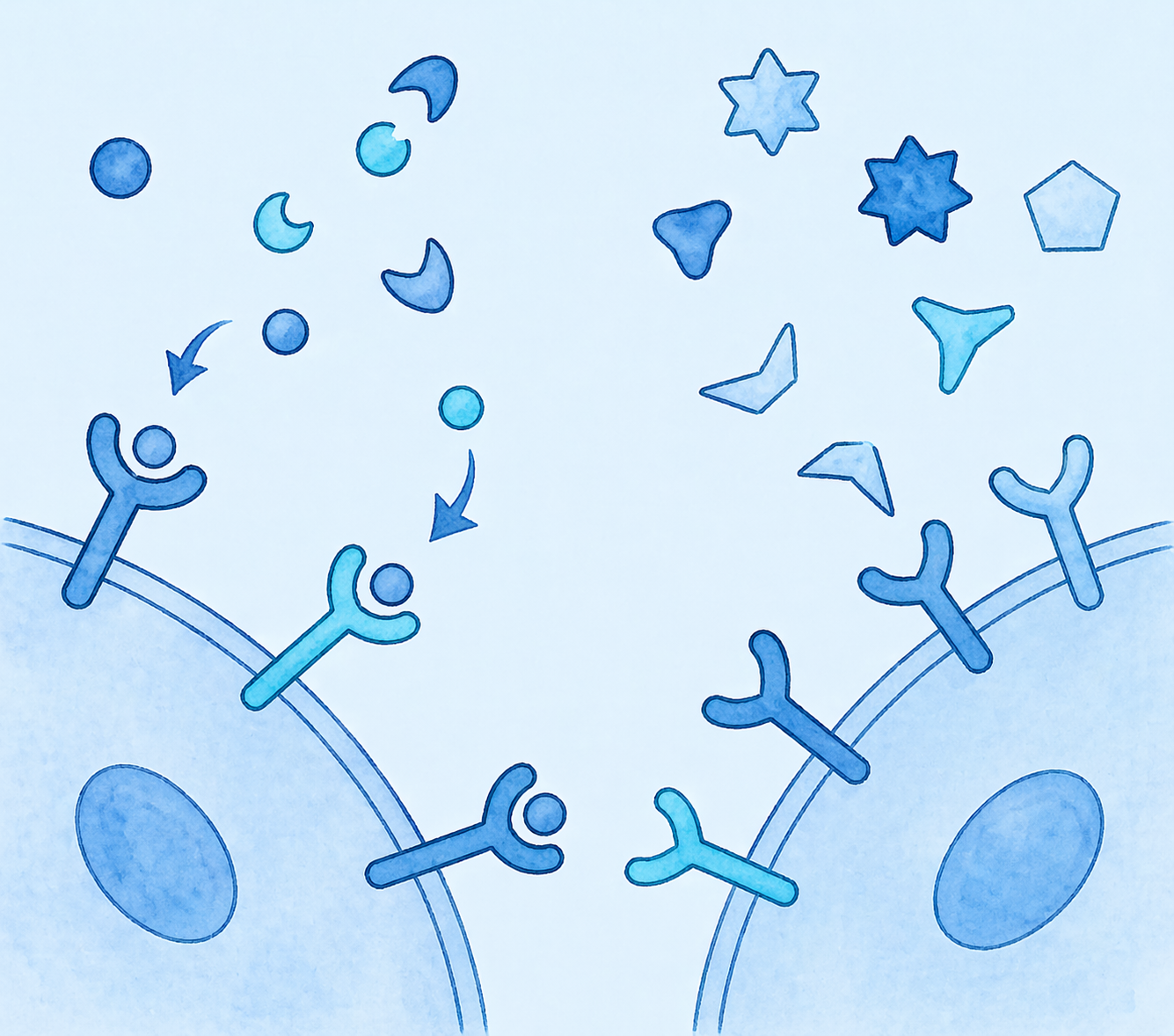 Bioactive Signals