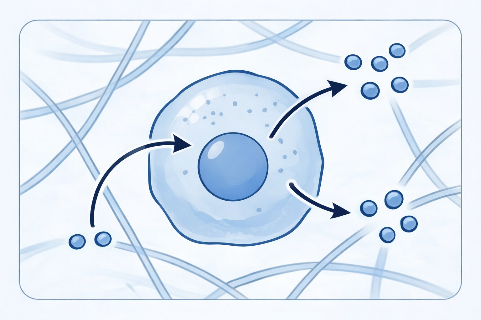 Regulator of Cell Behavior