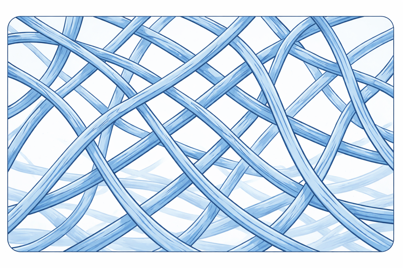 Dynamic 3D Network